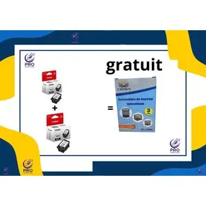 Canon 2 Cartouche d'impression PIXMA FINE PG 545 noir
