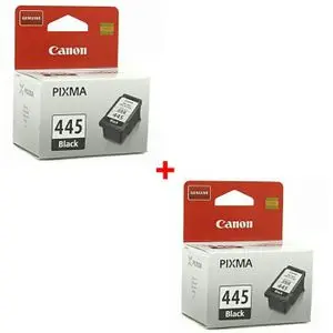 Canon 2 - Cartouche 445 Noir Originale