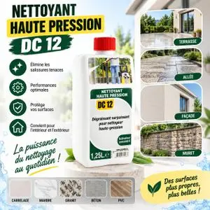 Shampooing Dégraissant Extérieur  Flacon 1.25 Litres Solution Active Nettoyeur Pression Lavage Dalle Pierre Pavé Mur Brique Trottoir Cour Garage Jardin Outillage