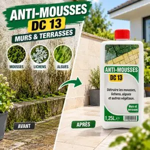 Nettoyant Anti Mousse Lichens Algues Démoussage Murs Terrasses Toitures Pavés Sol Extérieur Traitement Curatif Bidon 1,25 L