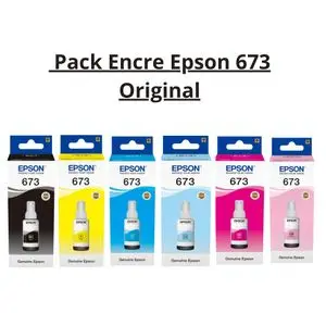 Epson Pack Encre 673 Original – 6 Couleurs (BK, C, M, Y, LC, LM) pour L805 L1800 ...