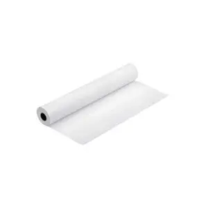 Epson Papier Proofing Blanc semi-mat 24" (C13S042004)