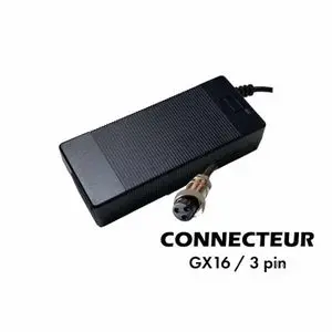 Liitokala Chargeur au Lithium 48v 2A Batterie pour vélo électrique Trottinette  Sortie 3 Broches GX16 Adaptateur Speedway Mini 4 Pro