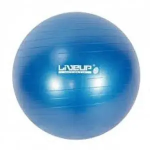 Live Up Ballons gym Ball 75 cm  + gonfleur