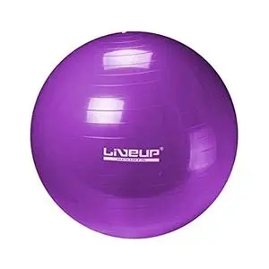 Live Up Ballon De GYM 75 cm