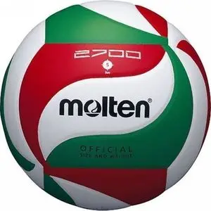 Molten Volleyball- V5M2700