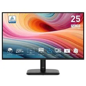 Msi Écran gamer PRO MP251L E2 25" 120Hz IPS