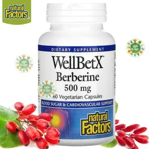 Natural Factors Berbérine Berberine WellBetX, 500 mg, 60 Capsules