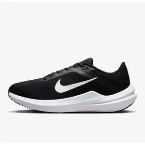 Nike WINFLO 10