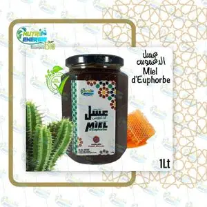 Nutri Energie 1Kg Miel d'Euphorbe 100% Nature et Bio (Originale Marocaine)