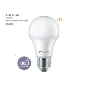 Philips PACK 12 AMPOULES ESS LED BULB 9W E27 6500K 230V 1PF/12 MA lumière blanche