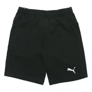 Puma Short blue ESS Shorts 10 pour homme 586709-76