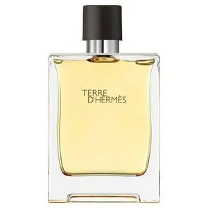 TERRE D' HERMES TERRE EDT 100 ML