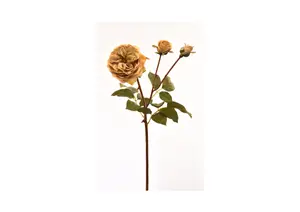 Rose 55Cm - Jaune