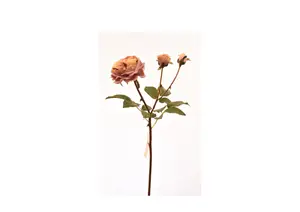 Rose 55Cm - Rose Clair