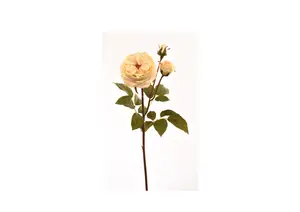 Rose 55Cm - Blanc Cassé