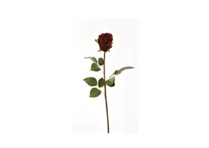 Rose 60Cm - Rouge