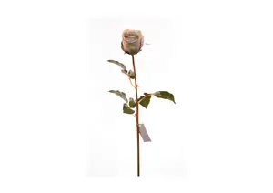 Rose 60Cm - Bleu