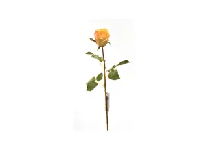 Rose 60Cm - Jaune