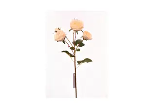 Rose 57Cm - Blanche