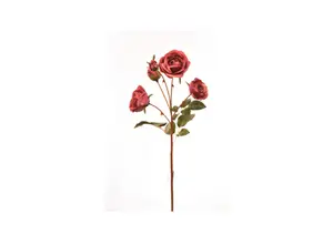 Rose 57Cm - Rose Foncé