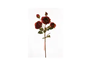 Rose 57Cm - Rouge