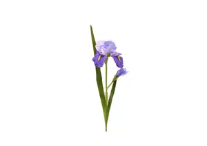Fleur Iris 95Cm - Bleu