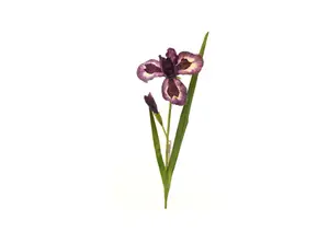 Fleur Iris 95Cm - Violet Foncé
