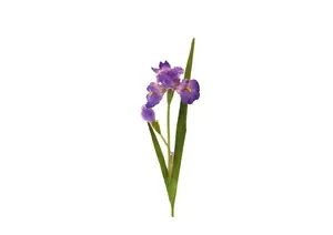 Fleur Iris 95Cm - Violet