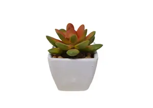 Plante Artificielle Avec Pot En Melamine 7X7X8 - Blanc