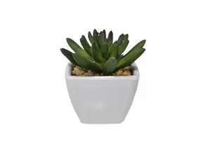 Plante Artificielle Avec Pot En Melamine 7,5X6X11,5Cm - Blanc