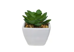 Plante Artificielle Avec Pot En Melamine 6X6X7,5Cm - Blanc
