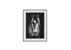 Tableau Le Cheval Avec Cadre – Blanc / Noir