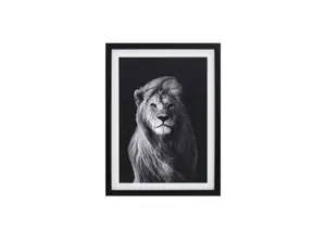 Tableau Le Lion Avec Cadre - Blanc / Noir