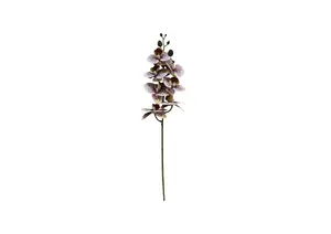 Plante Artificielle Orchidée 68Cm - Marron