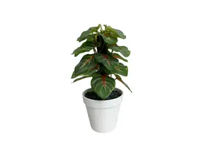 Plante Artificielle Avec Pot 27Cm - Vert
