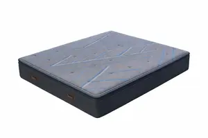 Matelas Beautyrest Signature Plush Pillow - Bleu