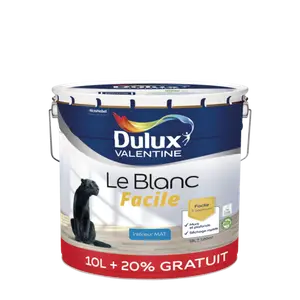 PEINTURE BLANC FACILE - DULUX VALENTINE