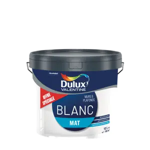 PEINTURE ÉDITION LIMITÉE - DULUX VALENTINE
