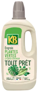 ENGRAIS PLANTES VERTES - KB