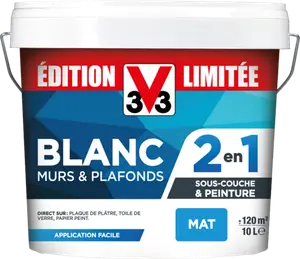 PEINTURE MURS & PLAFONDS - V33