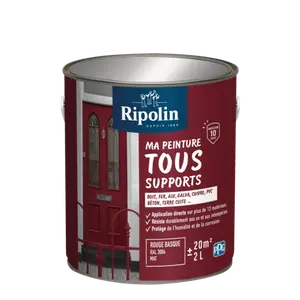 PEINTURE MULTI-SUPPORTS - RIPOLIN