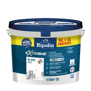 PEINTURE EXTRÊME - RIPOLIN