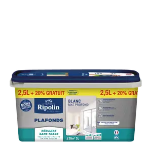 PEINTURE PLAFOND SANS TRACE - RIPOLIN
