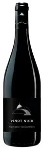 IGP PUY DE DÔME ROUGE - DESPRAT ST VERNY "VIGNOBLE VOLCANIQUE PINOT NOIR" 2025 - LES GRAPPES