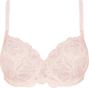 SOUTIEN-GORGE AVEC ARMATURES - SANS COMPLEXE