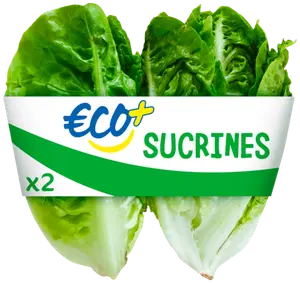 SALADE SUCRINE - ECO+