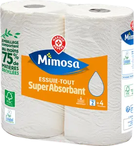 ESSUIE-TOUT BLANC COMPACT - MIMOSA