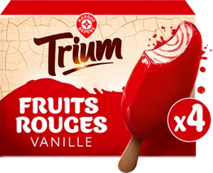 GLACES VANILLE FRUITS ROUGES - TRIUM