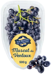RAISIN MUSCAT DU VENTOUX AOP - NOS RÉGIONS ONT DU TALENT